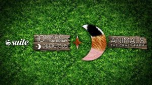 La Suite Sabato 10 Marzo 2018 – Blubay | #Delicious