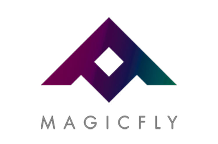 Magic Fly